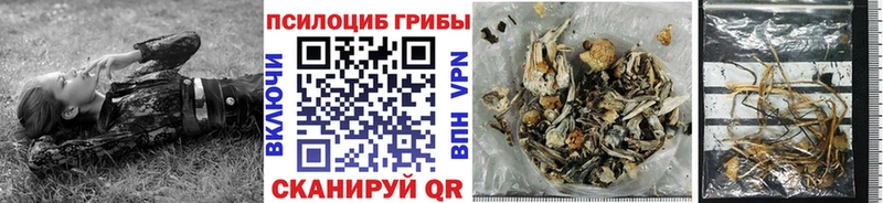 Галлюциногенные грибы прущие грибы  Спасск 